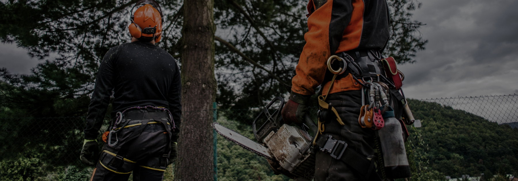 Banner PC shoptet nová šablona (40)